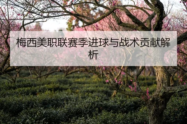 梅西美职联赛季进球与战术贡献解析